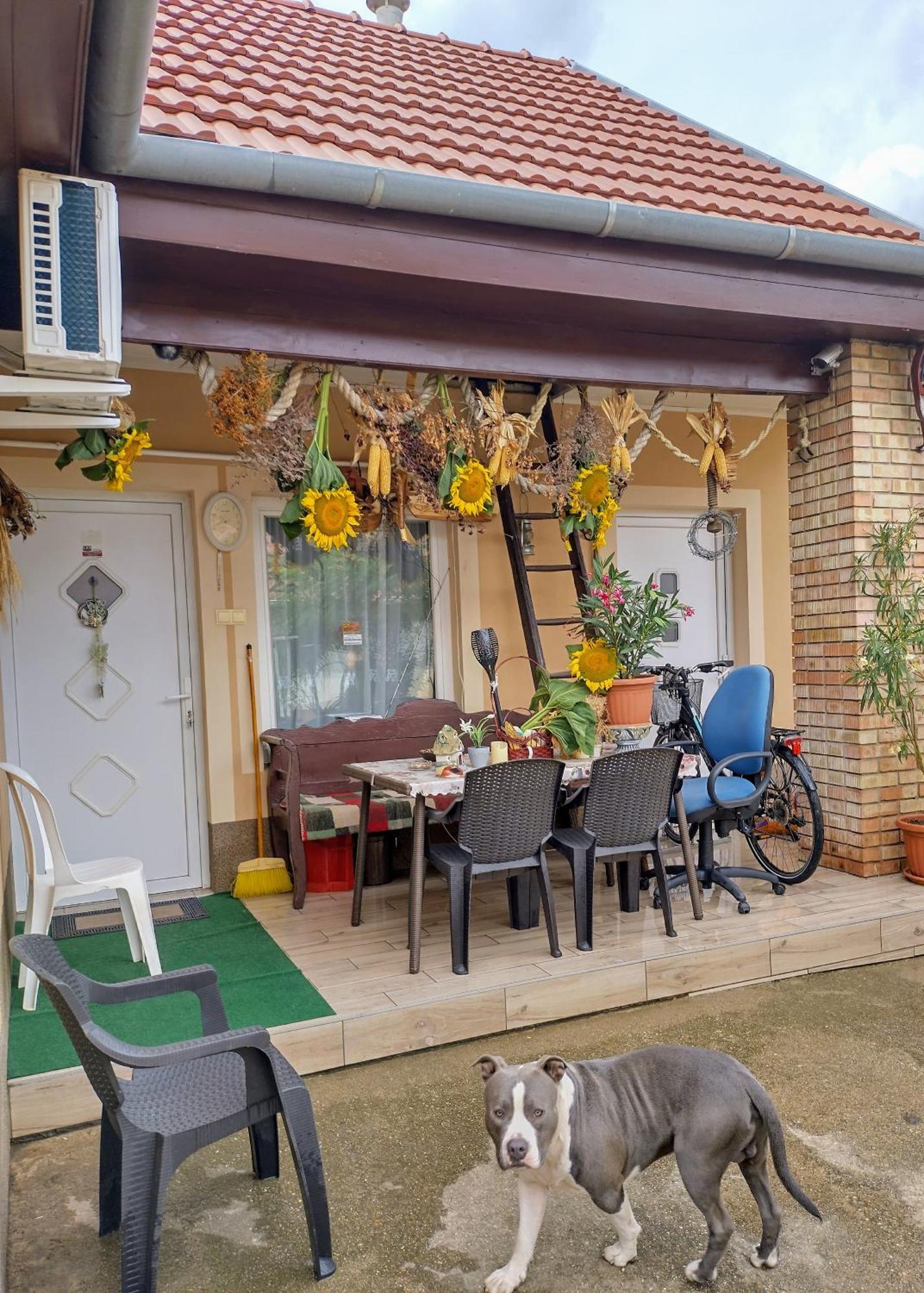 Bundik Vendeghaz Apartment Berettyóújfalu Bagian luar foto