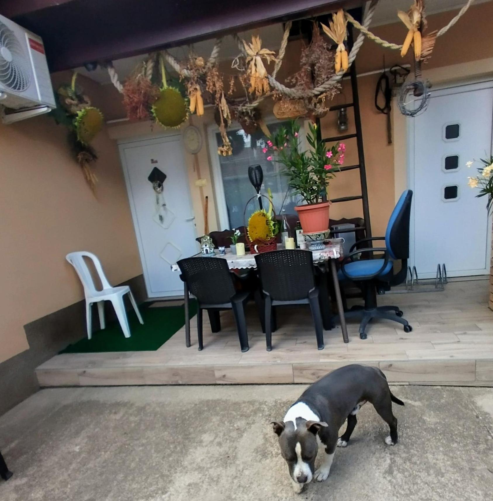 Bundik Vendeghaz Apartment Berettyóújfalu Bagian luar foto